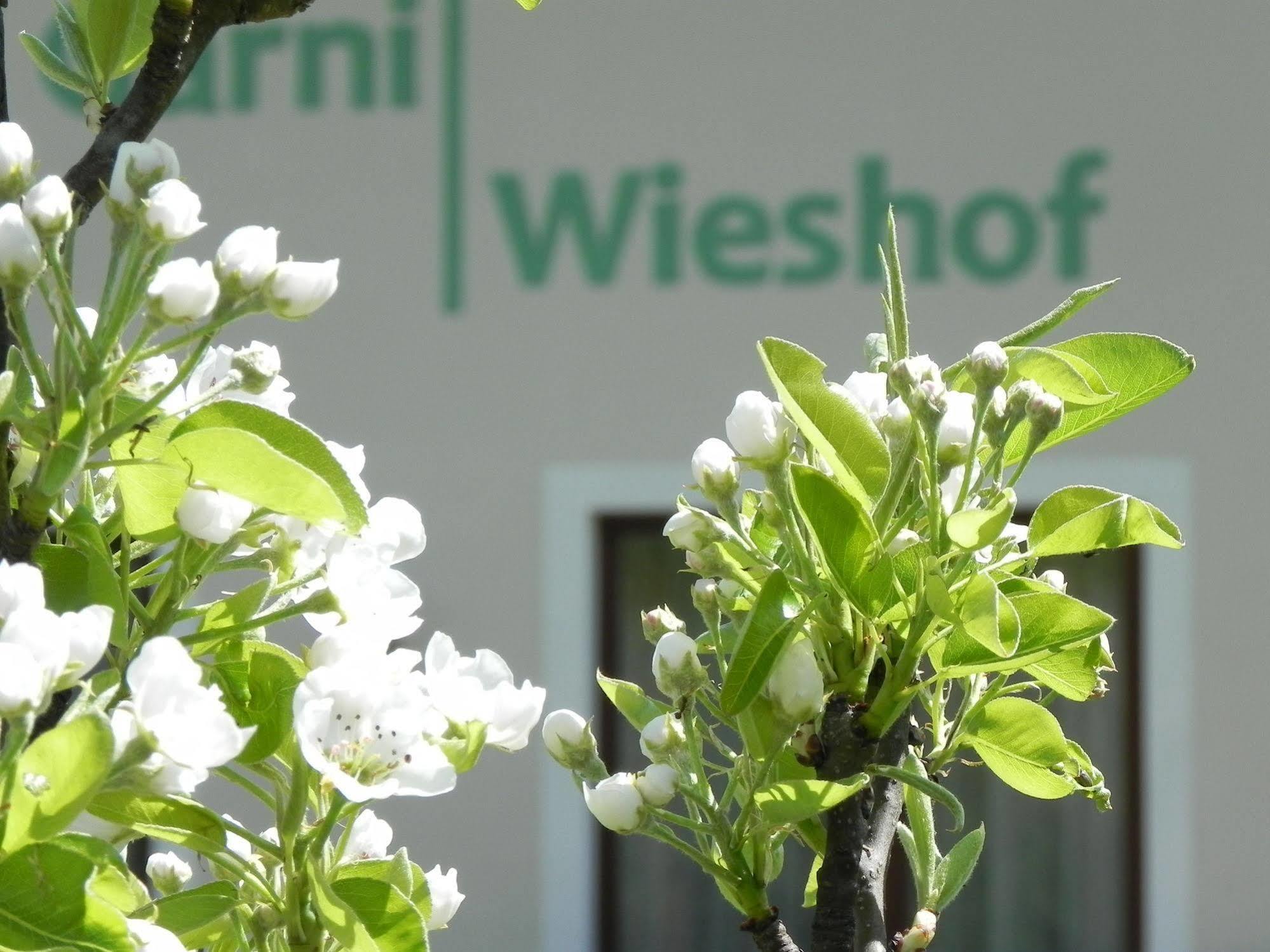 ראוריס Hotel Garni Wieshof מראה חיצוני תמונה